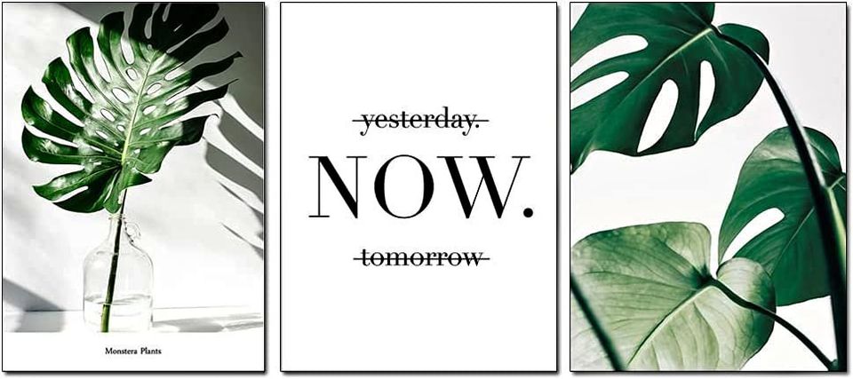 Green Leaves Prints Wall Canvas Art, 16x20 Inches Tropical Plants Monstera Minimalist