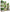 Bamworld Plant Stand Indoor Plant Stands Wood Outdoor Tiered Plant Shelf for Multiple Plants