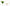 2 Park Gold Wall Decor,Plant Wall Decor Decoration Holder Used to Display Dried Flowers,F