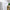 White Sheer Curtains 84 Inches Long with Tiebacks, Light Filtering Semi Transparent