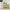 Bamworld Plant Stand Indoor Plant Stands Wood Outdoor Tiered Plant Shelf for Multiple Plants
