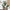 Artificial Monstera Plants, 1PC 25IN Fake Turtle Leaf Plant, 9 Leaves Faux Tropical