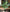 Toopify Fake Plants Large, Artificial Floor Plants Tall for Home Office Living Room Decor Indoo