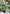 Toopify Fake Plants Large, Artificial Floor Plants Tall for Home Office Living Room Decor Indoo