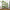 Bamworld Plant Stand Indoor Plant Stands Wood Outdoor Tiered Plant Shelf for Multiple Plants