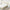 Used IKEA Spring mattress, medium firm/beige, Full Size